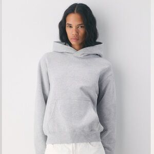 Aritzia Cozy Fleece Perfect Fit Hoodie in Heather Chrome